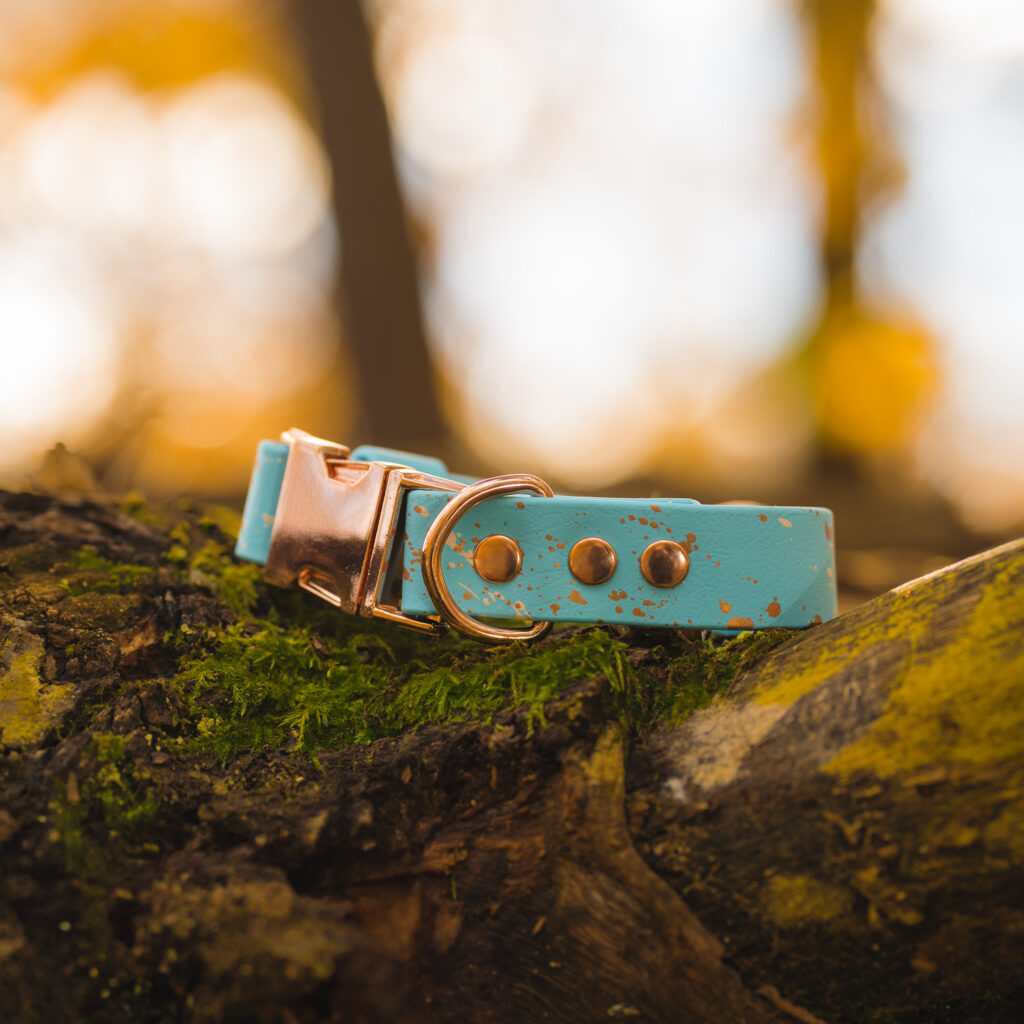 Obroża z klamrą metalową zatrzaskową