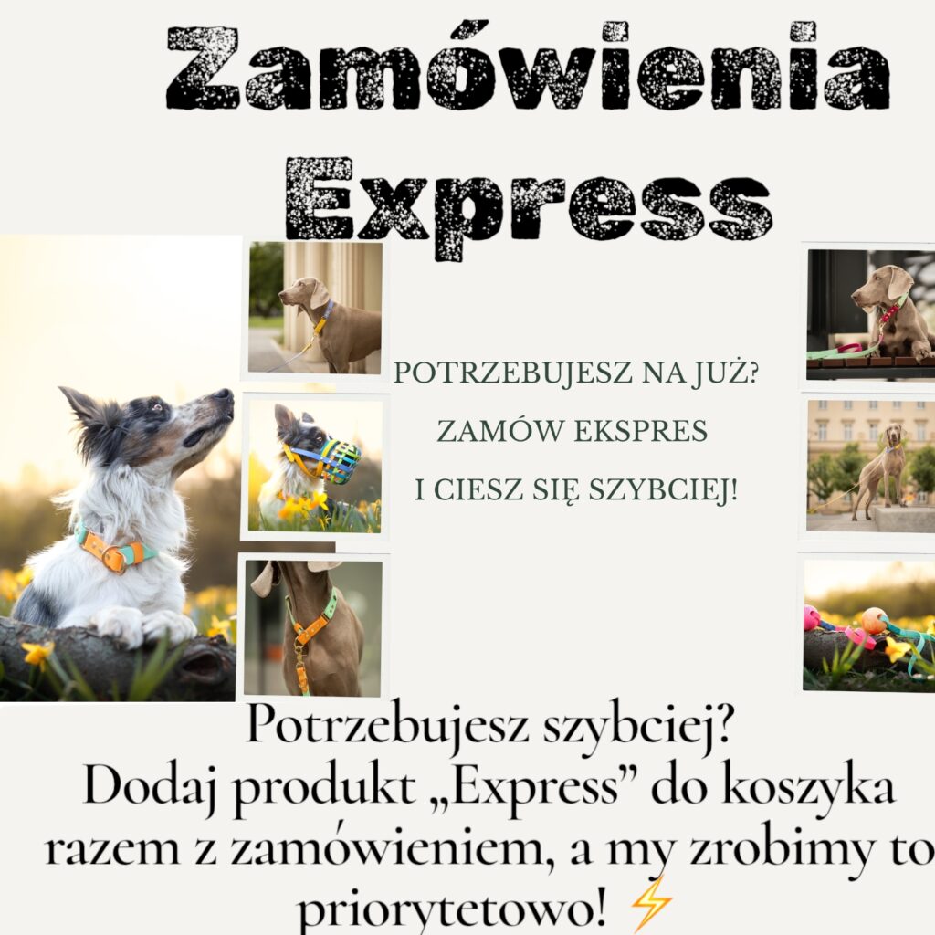 Zamówienie express